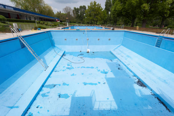 Best Water damage contractors near me  in Marshall, IL