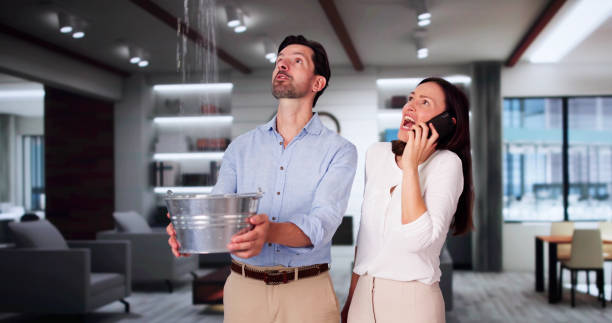 Best Professional water damage repair  in Marshall, IL